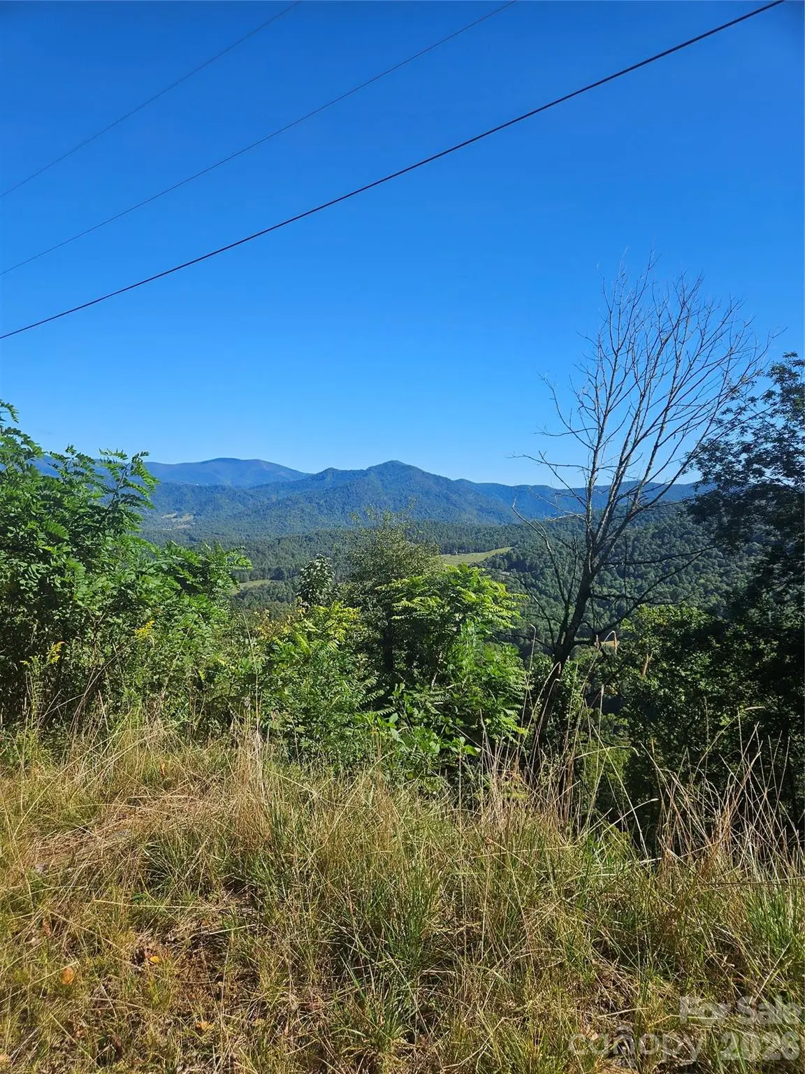 00 White Oak Road, Bakersville, NC 28705 - #1