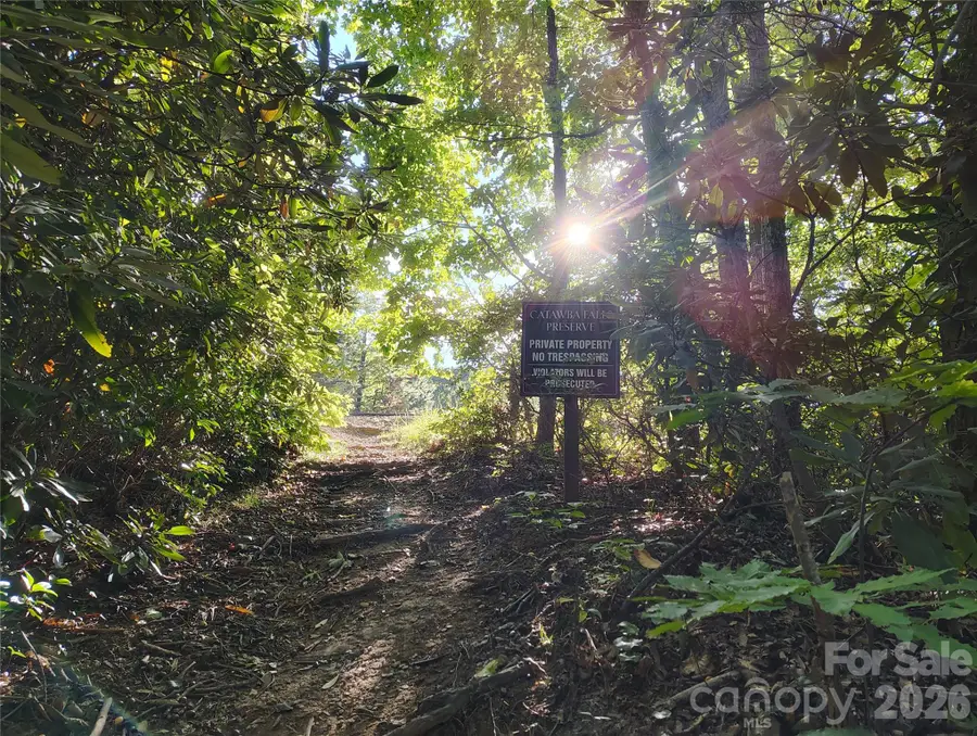 304 Feather Falls Trail #4, Old Fort, NC 28762 - #3