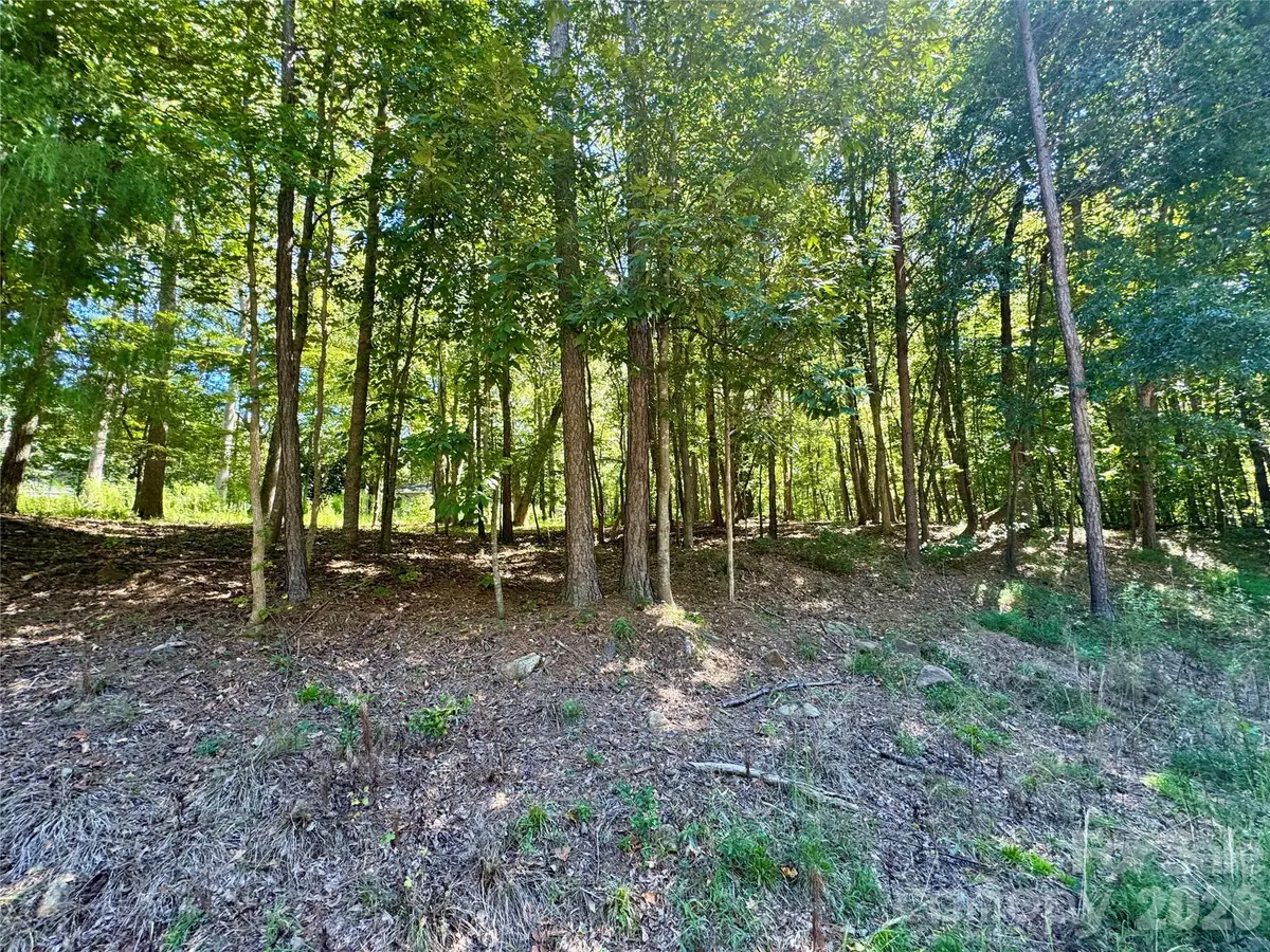 10062 Southwinds Drive, Indian Land, SC 29707 - #1