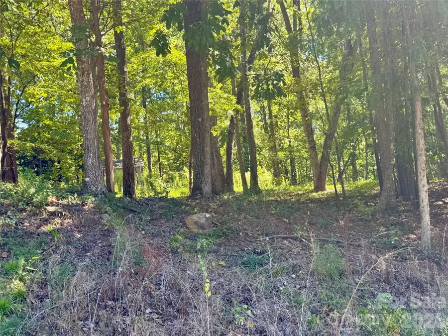 10062 Southwinds Drive, Indian Land, SC 29707 - #3
