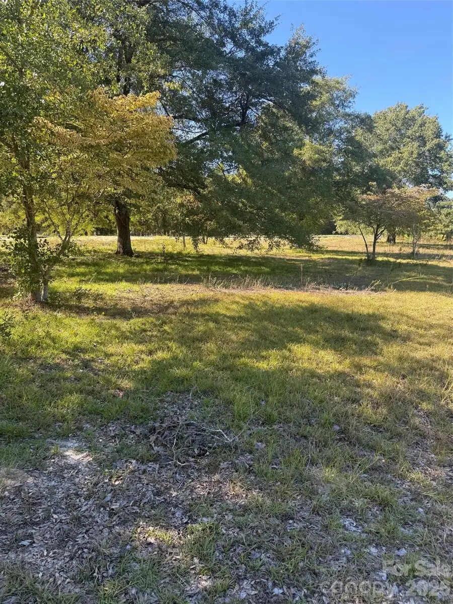 3788 Old Georgetown Road W, Kershaw, SC 29067 - #2