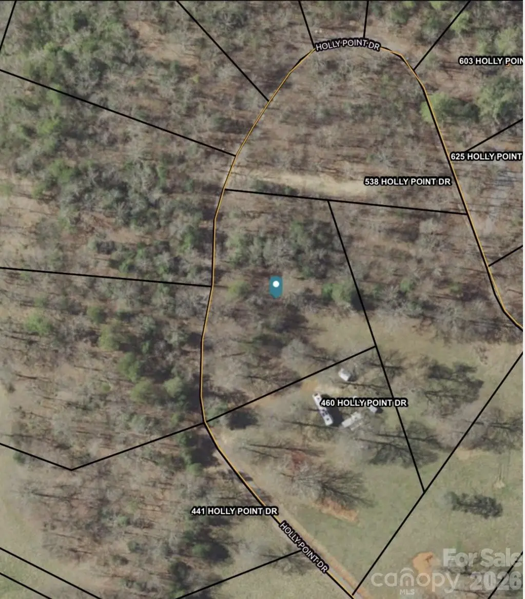 43 Holly Point Drive #43, Murphy, NC 28906 - #1