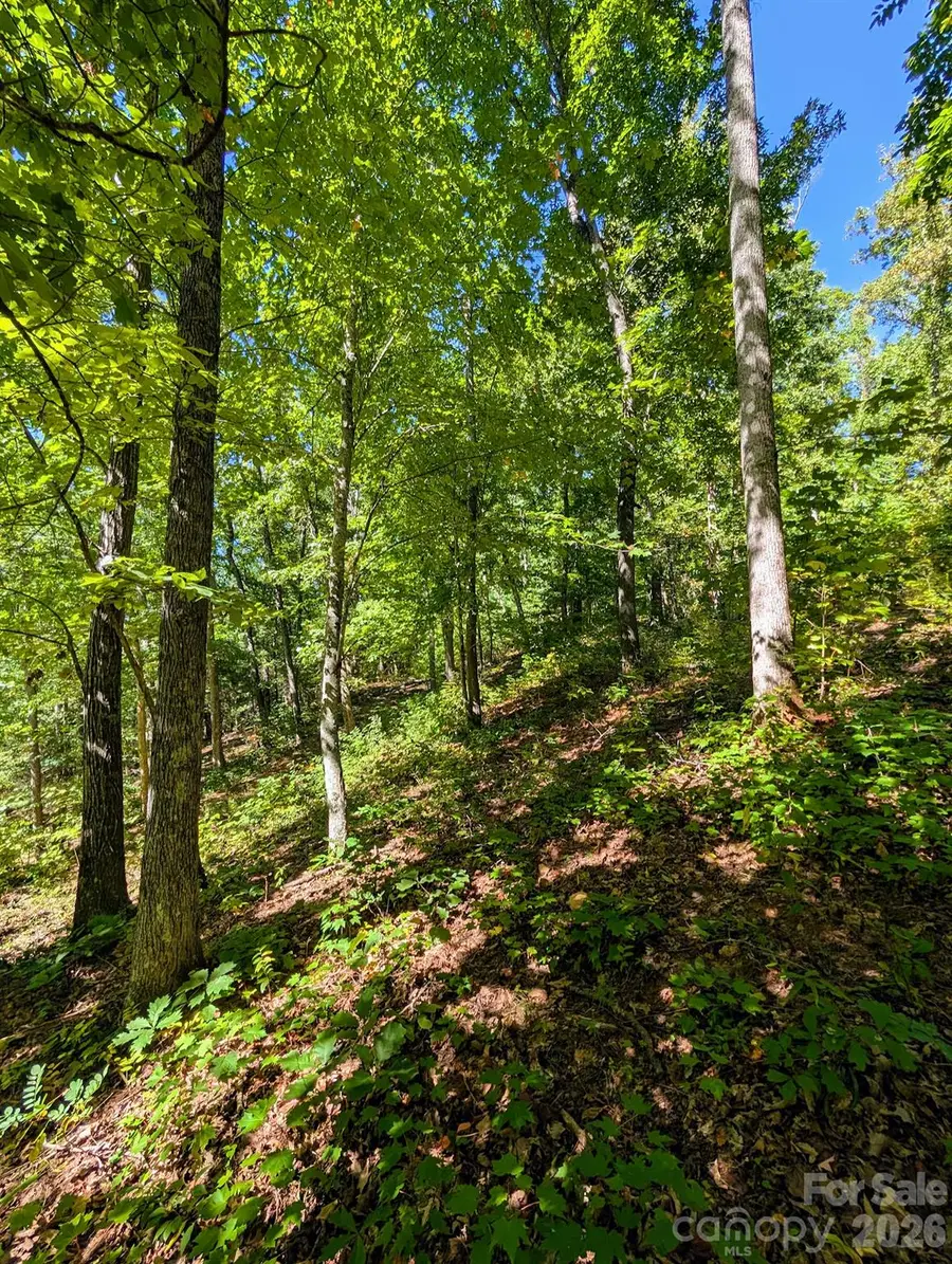 0000 Mackenzie Way, Swannanoa, NC 28778 - #2