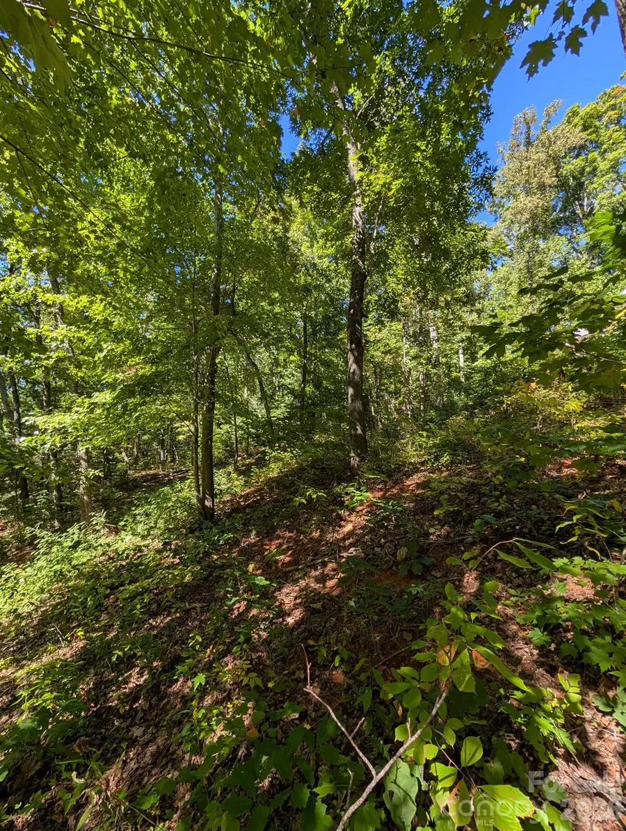 0000 Mackenzie Way, Swannanoa, NC 28778 - #3