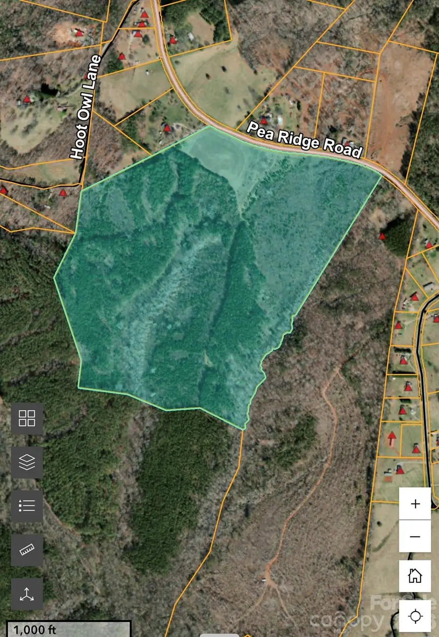000 Pea Ridge Road, Mill Spring, NC 28756 - #2