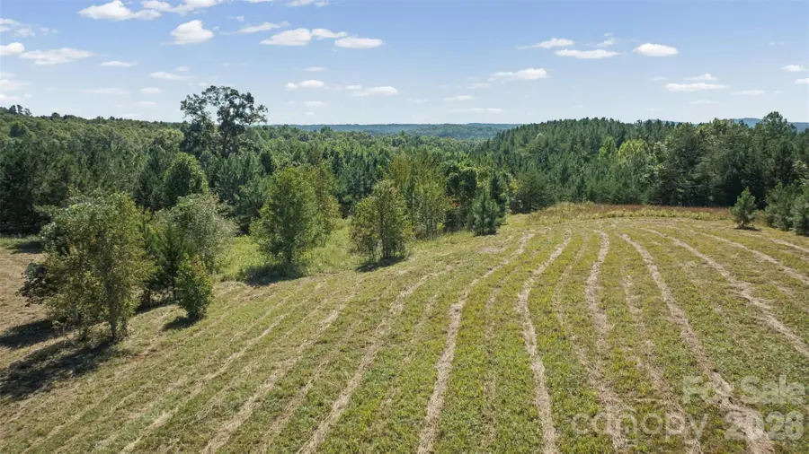 000 Pea Ridge Road, Mill Spring, NC 28756 - #3