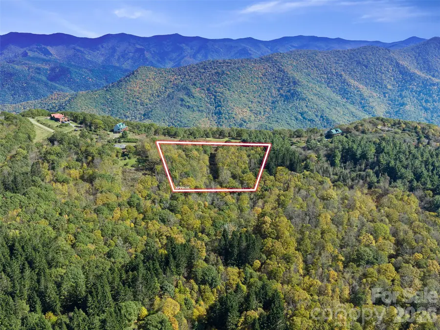 99999 Eagle Bald Trail, Burnsville, NC 28714 - #3