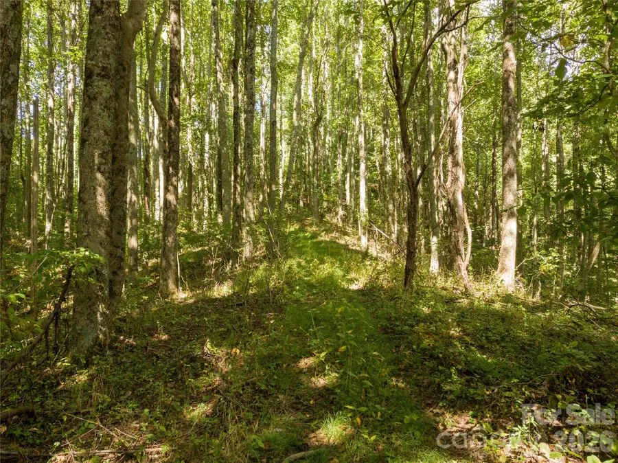 9999 Spillcorn Road, Marshall, NC 28753 - #3
