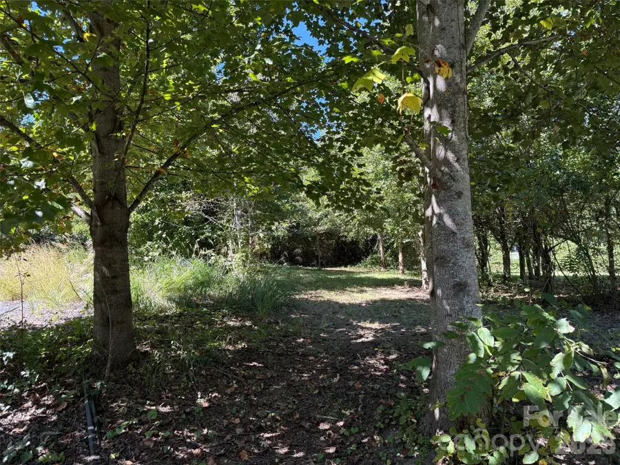 Lot A Bronco Pass, East Flat Rock, NC 28726 - #2