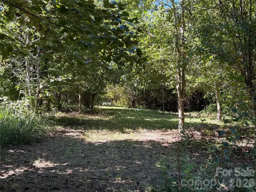 Lot A Bronco Pass, East Flat Rock, NC 28726 - #3
