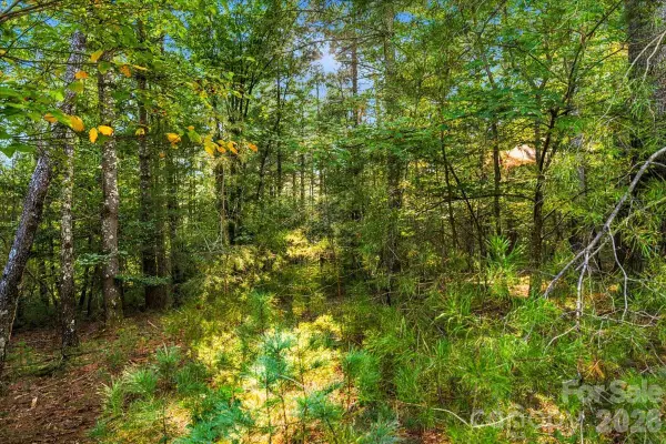 60 Kingfisher Terrace #107, Nebo, NC 28761