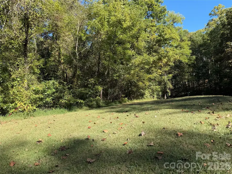99999 Destiny Farms Drive, Leicester, NC 28748 - #2
