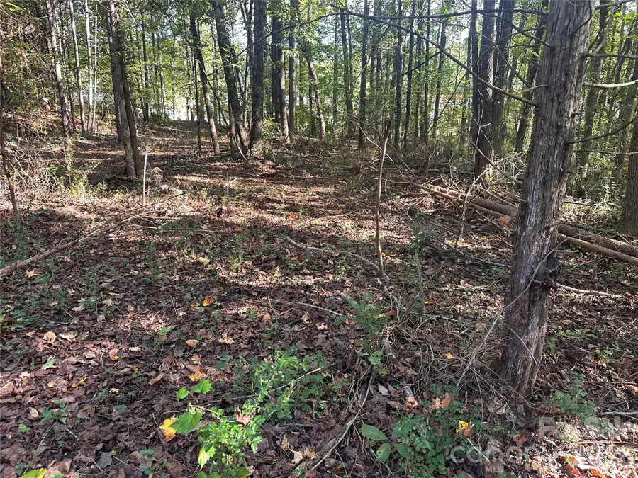 86 Sunrise Trail, Lincolnton, NC 28092 - #3