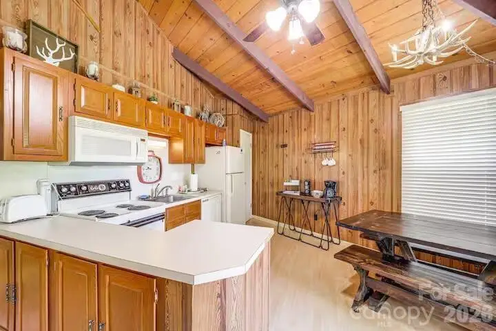 102 Cricket Way, Beech Mountain, NC 28604 - #3