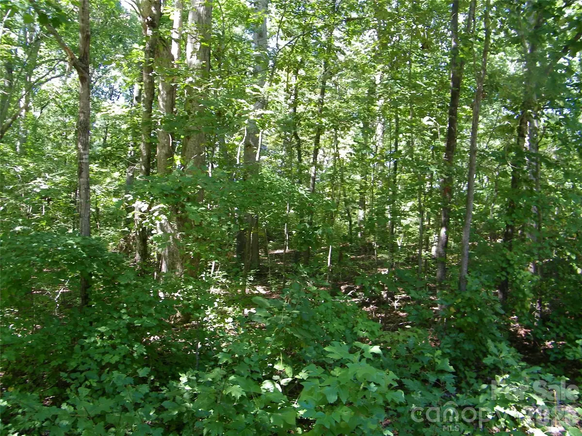 113 Chippewa Trail, China Grove, NC 28023 - #1