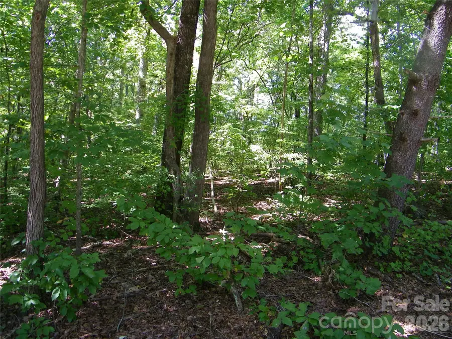 113 Chippewa Trail, China Grove, NC 28023 - #2