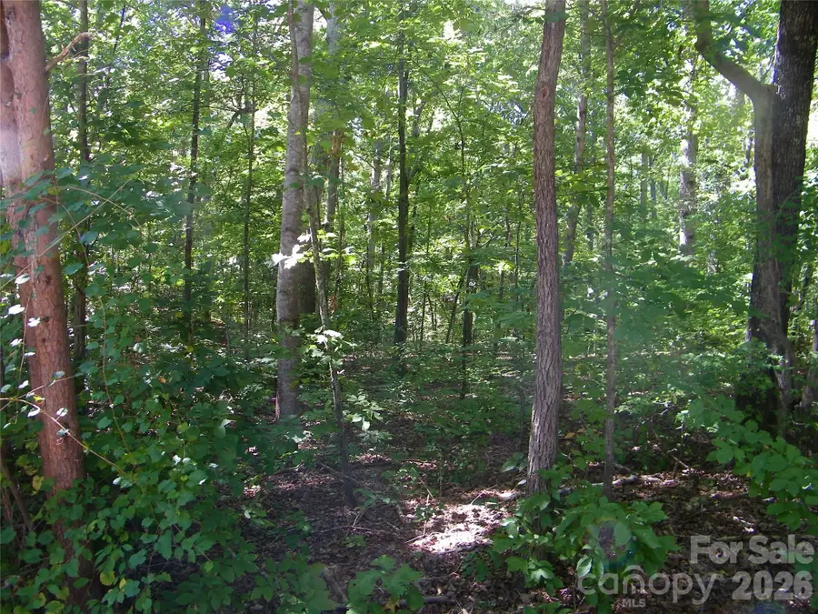 113 Chippewa Trail, China Grove, NC 28023 - #3