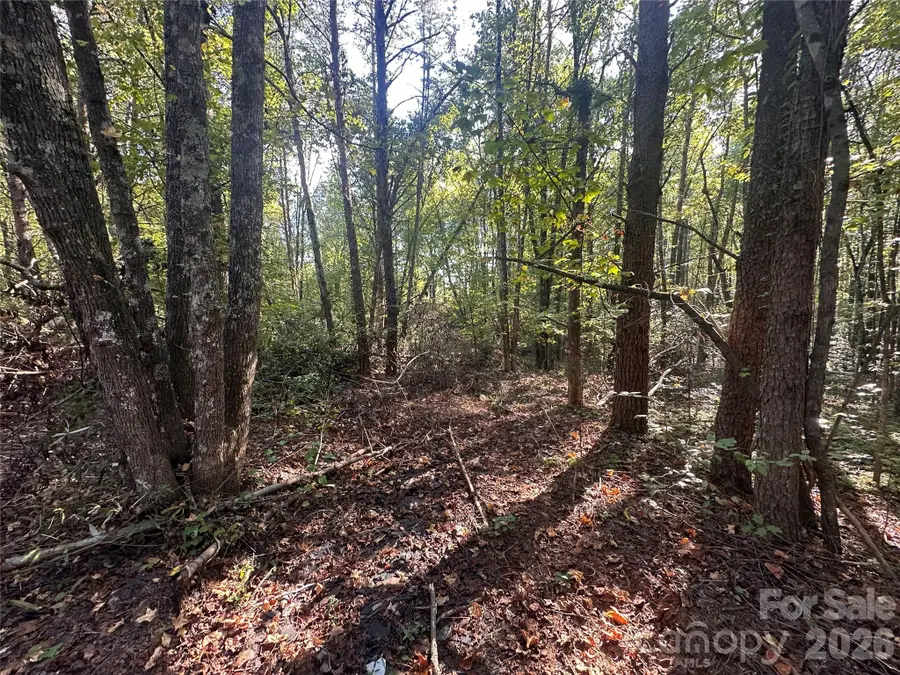 84 Sunrise Trail, Lincolnton, NC 28092 - #3