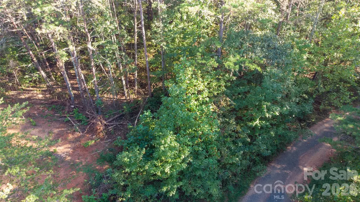 81 Meandering Lane, Lincolnton, NC 28092 - #1