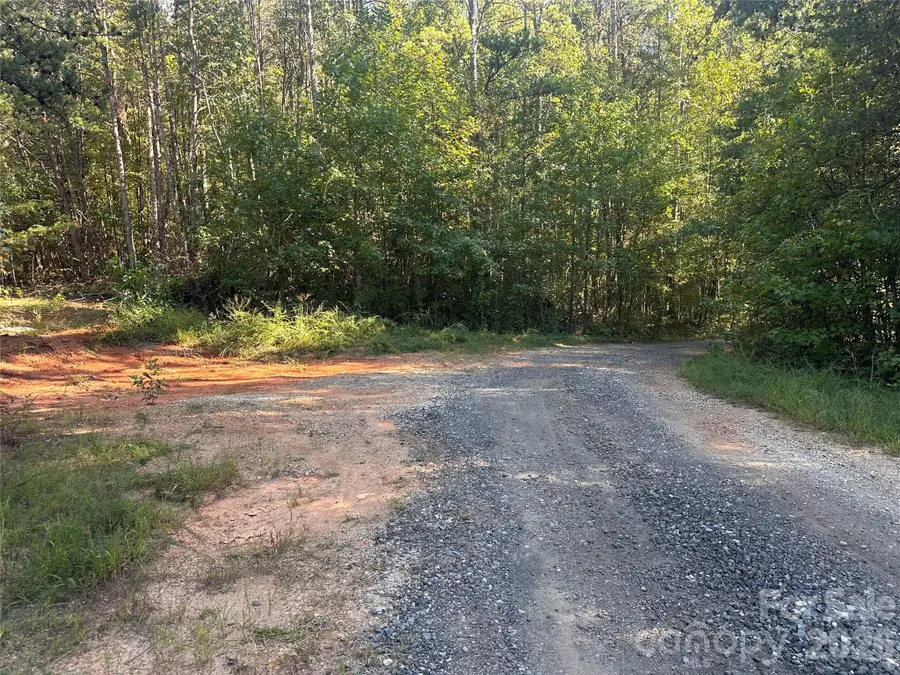 81 Meandering Lane, Lincolnton, NC 28092 - #2