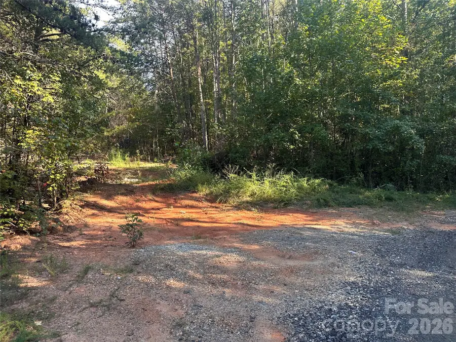 81 Meandering Lane, Lincolnton, NC 28092 - #3