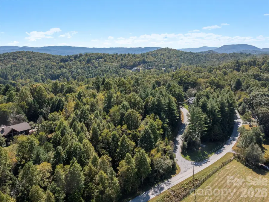 00 Holly Haven Court #1, Mills River, NC 28759 - #2