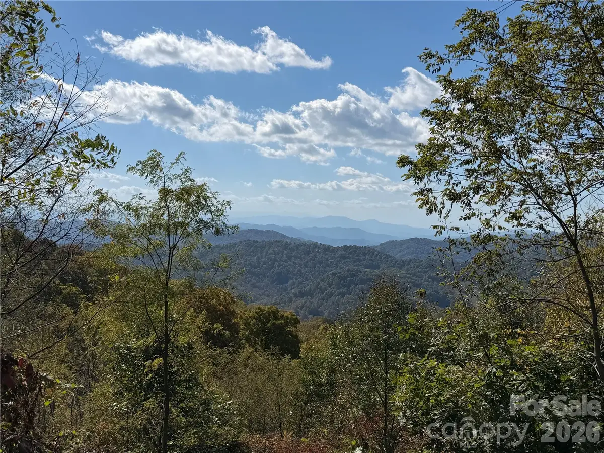 2 Ridge Top Loop, Mars Hill, NC 28754 - #1