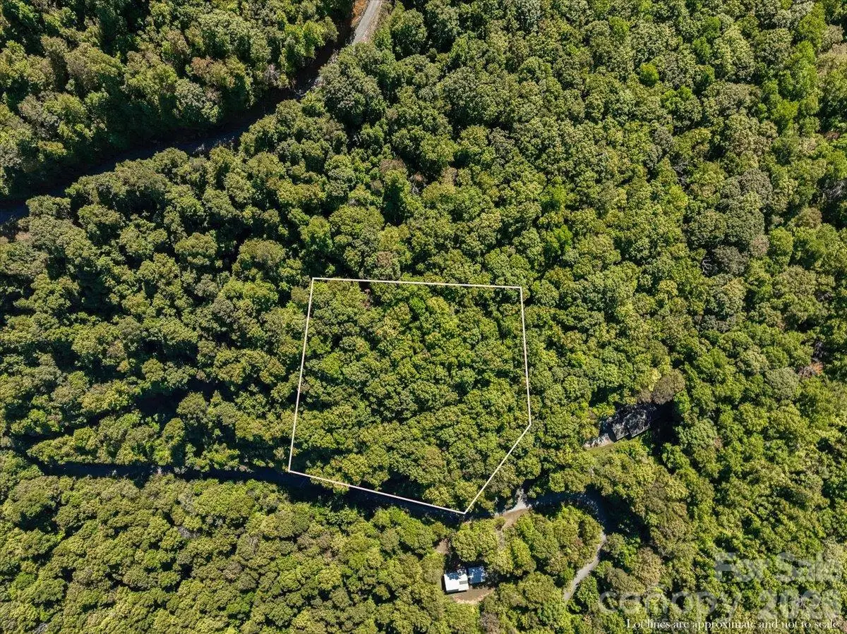 001 Natures Trail, Burnsville, NC 28714 - #1