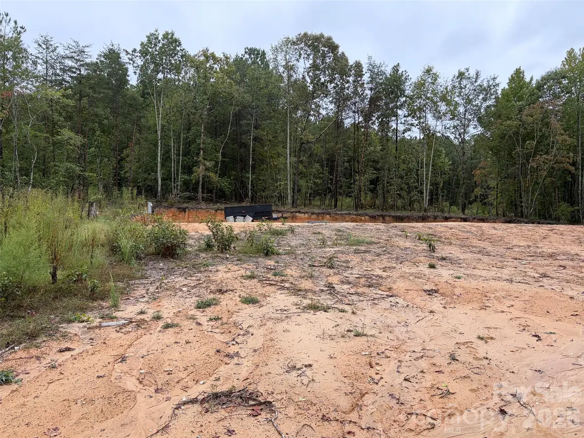 V/L W V Thompson Road, Rutherfordton, NC 28139 - #1
