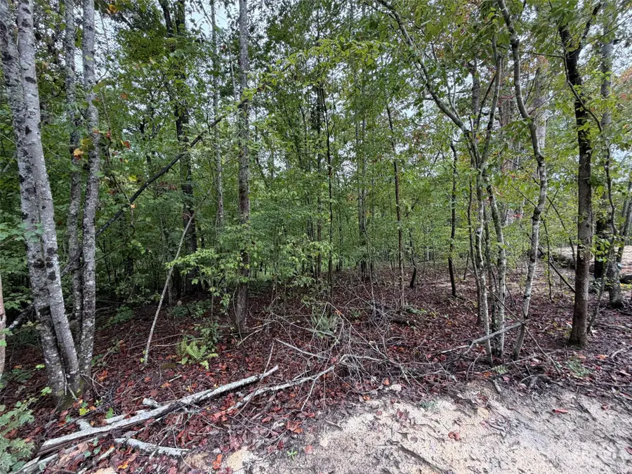 V/L W V Thompson Road, Rutherfordton, NC 28139 - #2