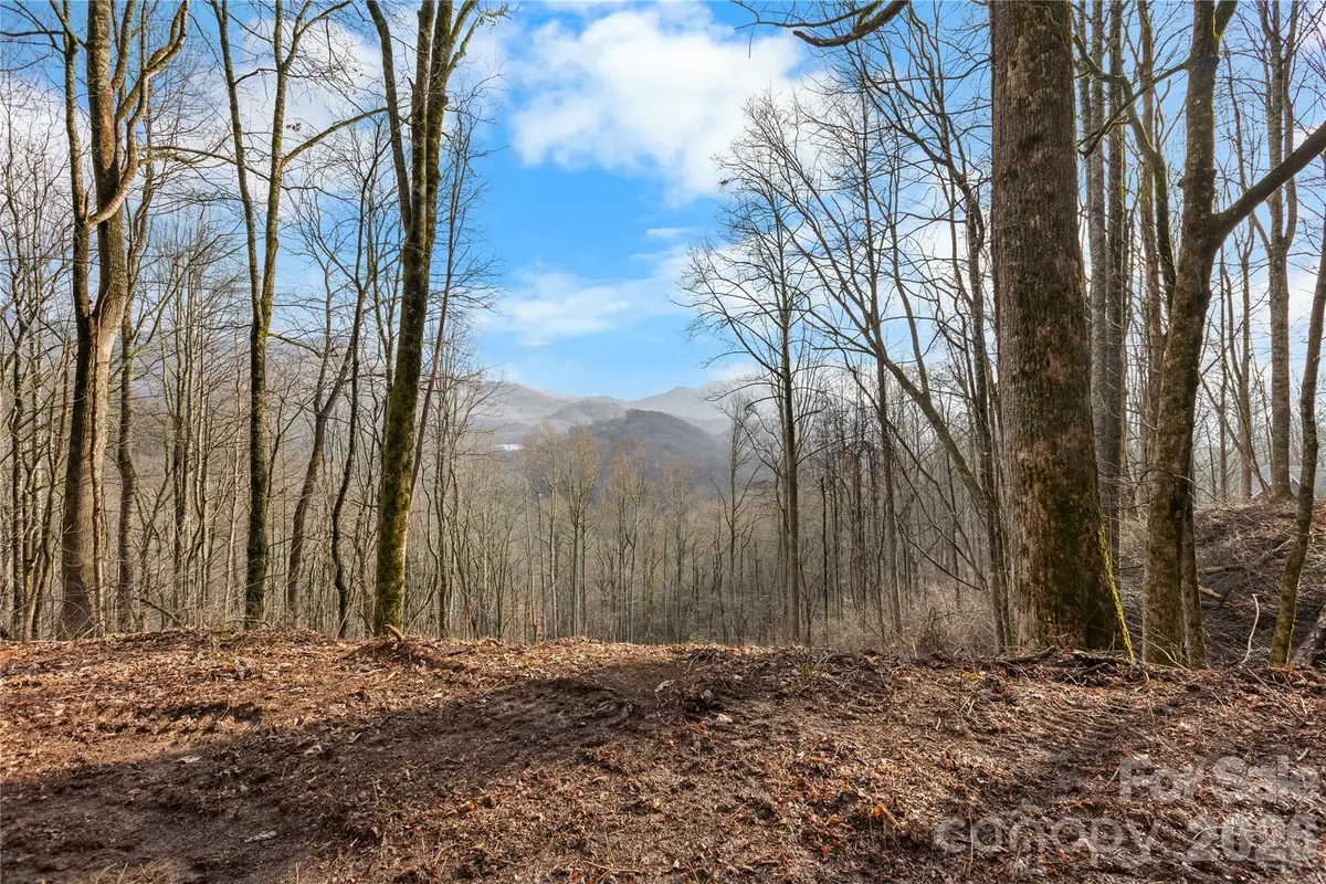 TBD Happy Ridge Lane, Sylva, NC 28779 - #1