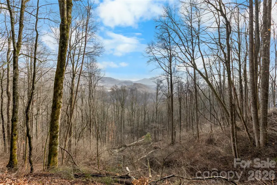 TBD Happy Ridge Lane, Sylva, NC 28779 - #2