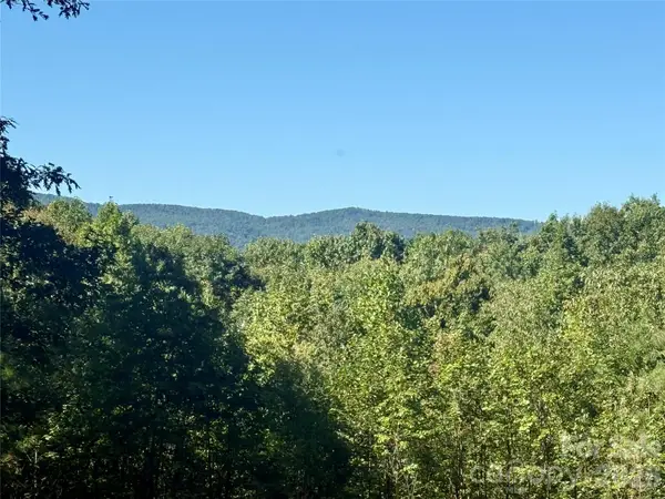 V/L Grandview Loop #376, Nebo, NC 28761