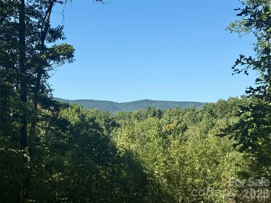 V/L Grandview Loop #376, Nebo, NC 28761 - #2