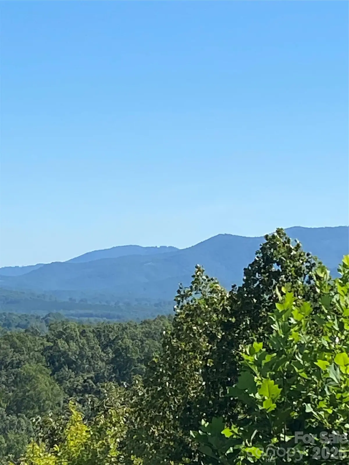 Lot 51 Ridgecrest Drive #51, Lake Lure, NC 28746 - #1