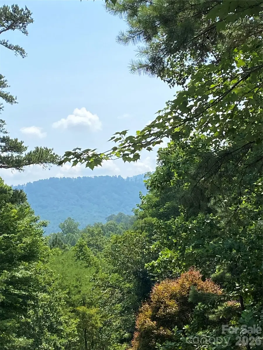 Lot 51 Ridgecrest Drive #51, Lake Lure, NC 28746 - #2