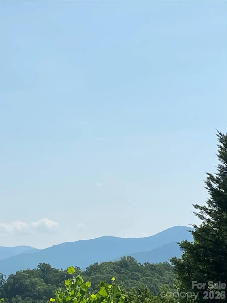 Lot 51 Ridgecrest Drive #51, Lake Lure, NC 28746 - #3