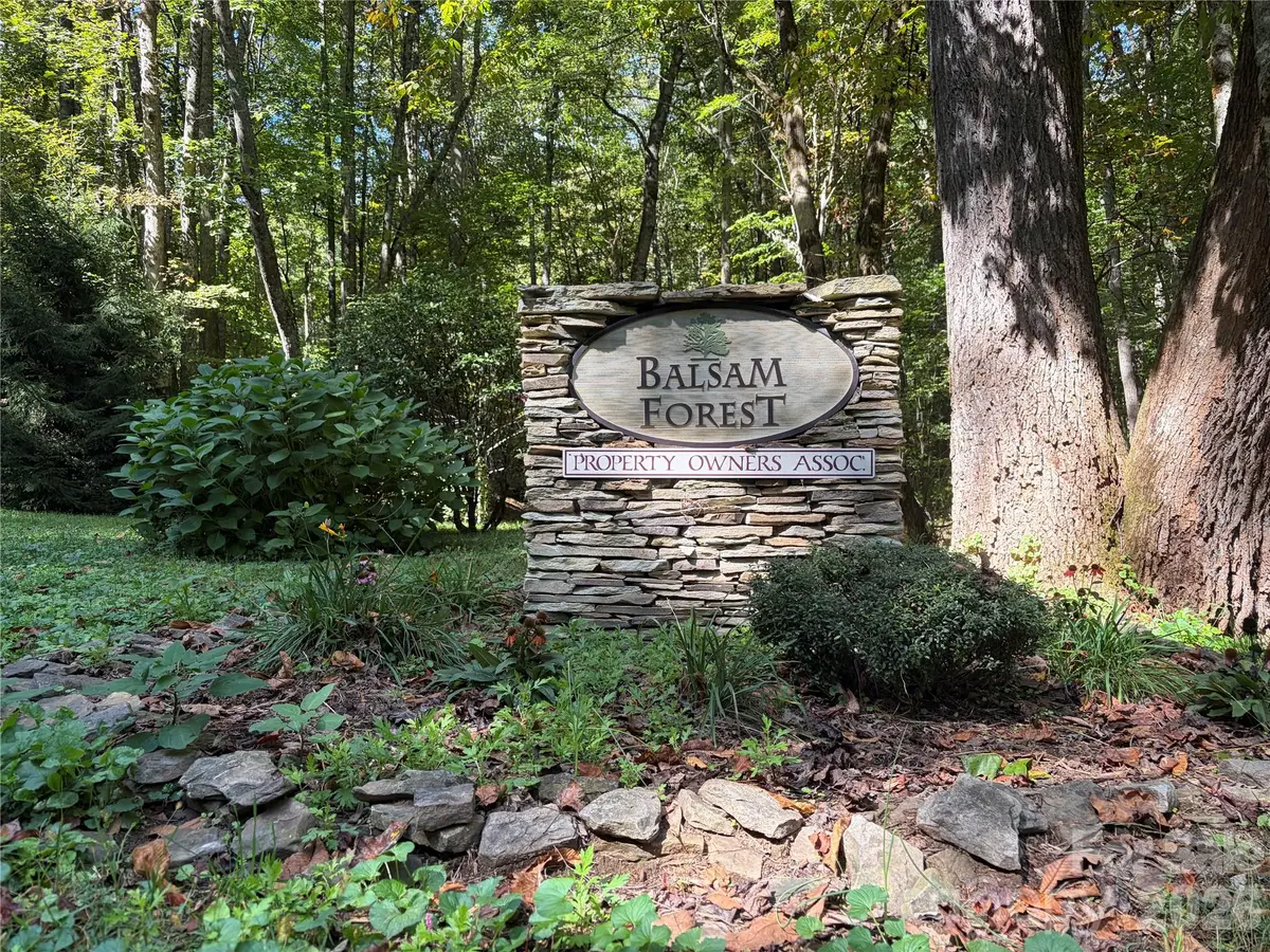 14 Fern Trail #14, Waynesville, NC 28786 - #1