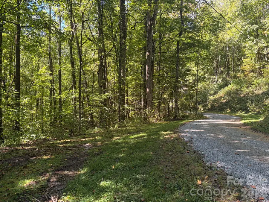 14 Fern Trail #14, Waynesville, NC 28786 - #3