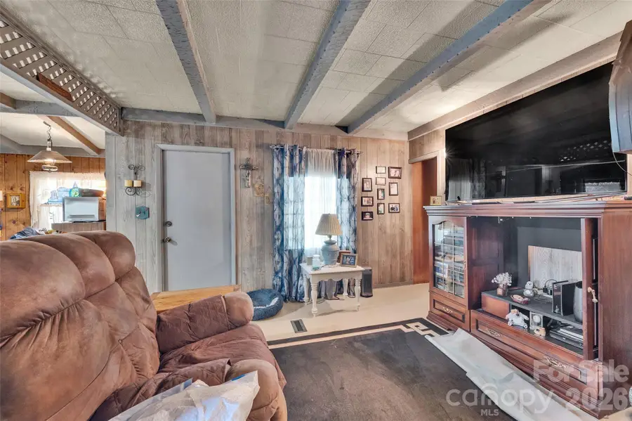 144 Skyline Drive, Canton, NC 28716 - #3