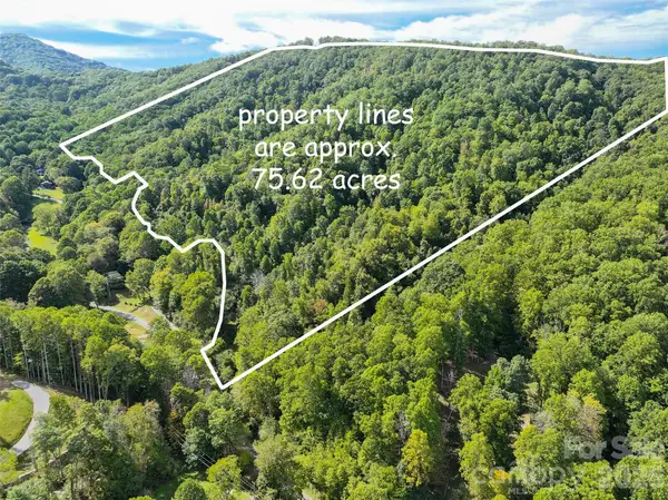 000 Mauney Cove Road, Waynesville, NC 28786