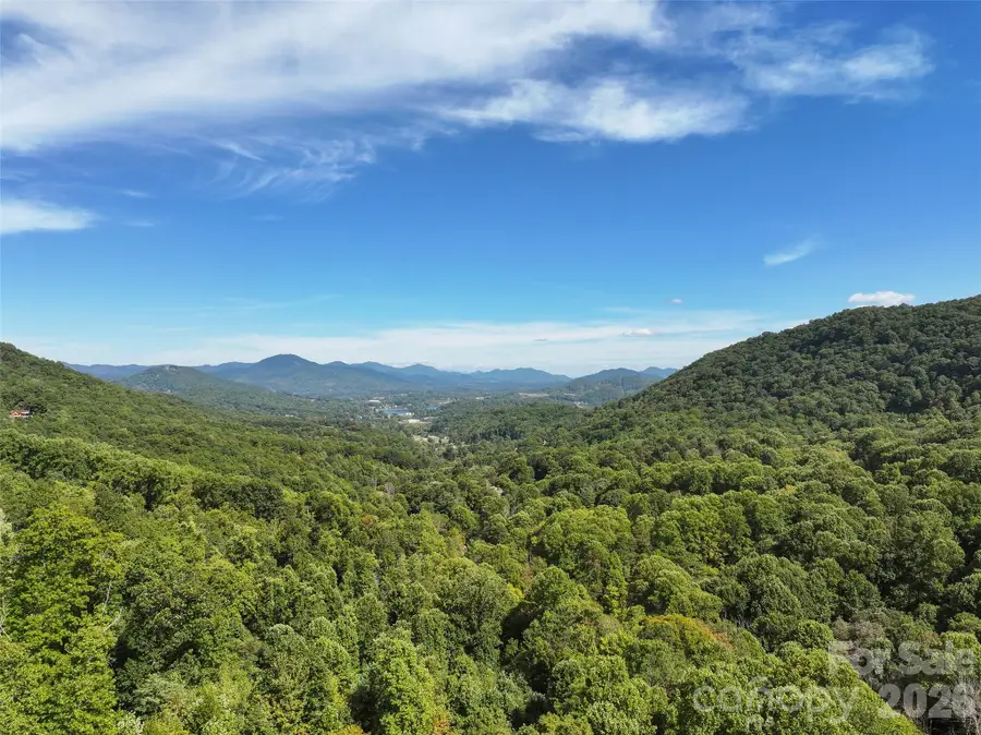 000 Mauney Cove Road, Waynesville, NC 28786 - #2
