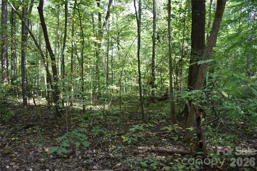 #167 Rolling Road, Lincolnton, NC 28092 - #2