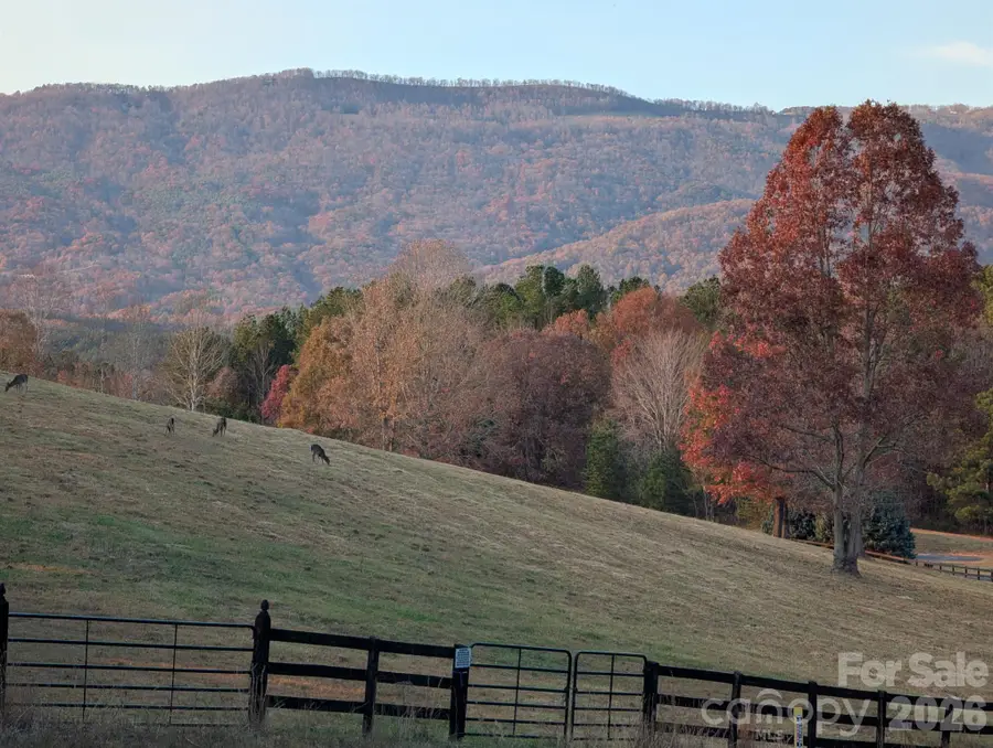 0 River Park Lane, Mill Spring, NC 28756 - #3
