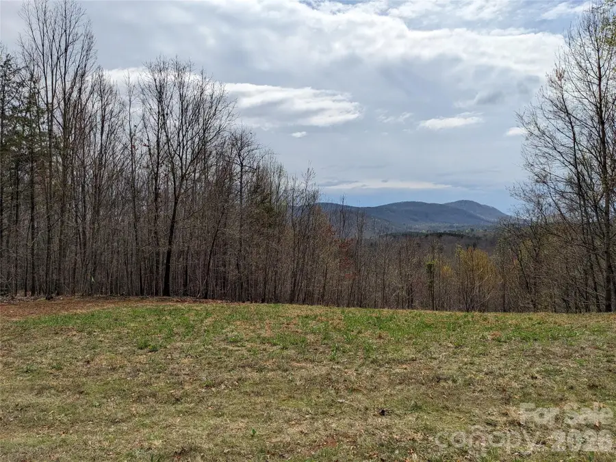 00 Stratford Drive #78, Bostic, NC 28018 - #3