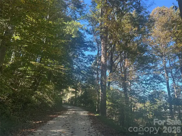00 Split Pine Cove, Clyde, NC 28721