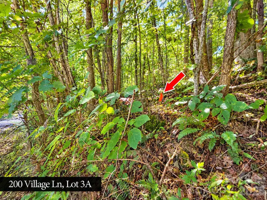 200 Village Lane #3A, Waynesville, NC 28786 - #3