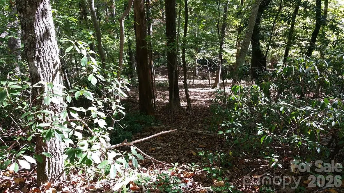 0 Grandview Drive #83, Lake Lure, NC 28746 - #1