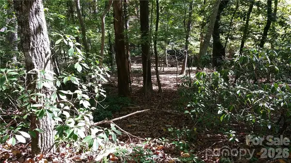 0 Grandview Drive #83, Lake Lure, NC 28746