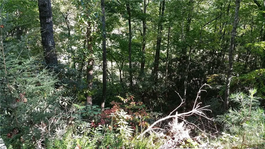 0 Grandview Drive #83, Lake Lure, NC 28746 - #2